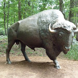 Bison Statue