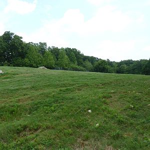 11-Acre Bison/Elk Exhibit