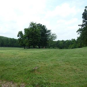 11-Acre Bison/Elk Exhibit