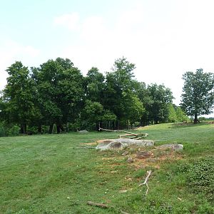 11-Acre Bison/Elk Exhibit