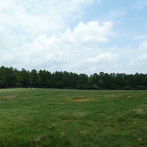 11-Acre Bison/Elk Exhibit