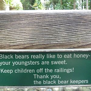 Black Bear Exhibit - Sign