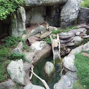 River Otter Exhibit