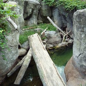 River Otter Exhibit