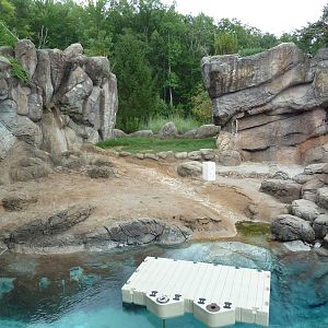 Polar Bear Exhibit
