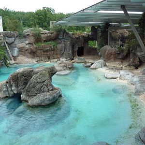 California Sea Lion/Harbour Seal Exhibit