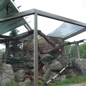 Bald Eagle Exhibit