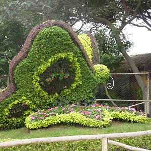 Butterfly topiary