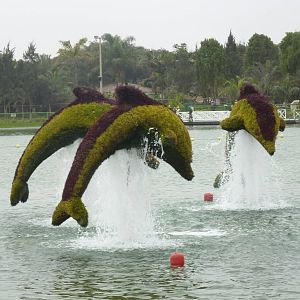 Dolphin fountain