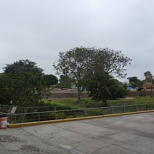 Fox & deer viewing area