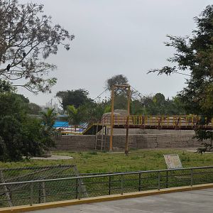 White-tailed deer enclosure