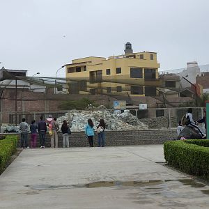 Seabird aviary