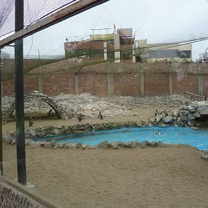 Seabird aviary