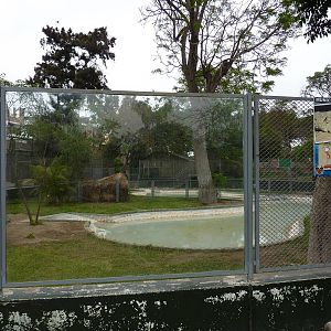 American Crocodile enclosures