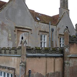 Rooks of Marwell Hall