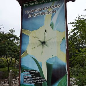 Endangered plants sign
