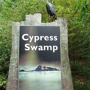 Cypress Swamp - Sign