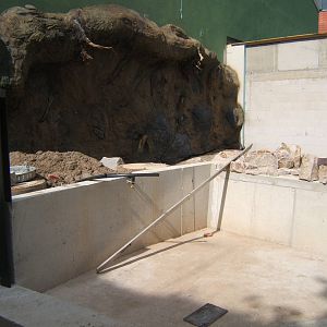 View of part of the new Asian Short-clawed Otter/Binturong enclosure