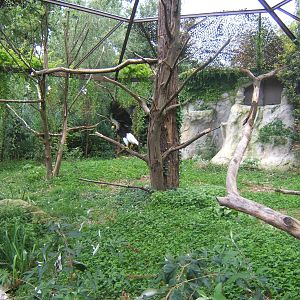 View of Stellar Sea Eagle Aviary