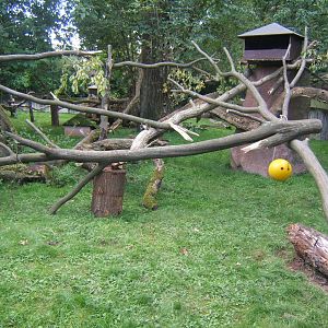 View of Tufted Deer and Red Panda enclosure