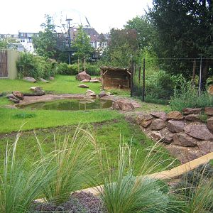 View of Sitatunga enclosure