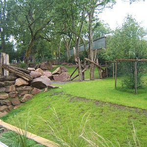 View of Sitatunga enclosure