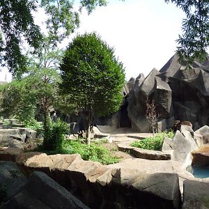 Grizzly Bear Exhibit