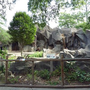 Grizzly Bear Exhibit