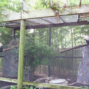 King Vulture Exhibit