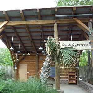 Congo Classroom - Educational Area