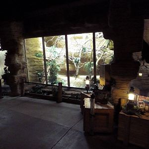Lion-Tailed Macaque + Rodrigues Fruit Bat Exhibits