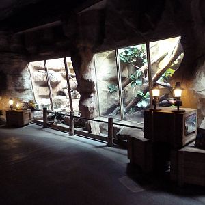 Small Animal Exhibits