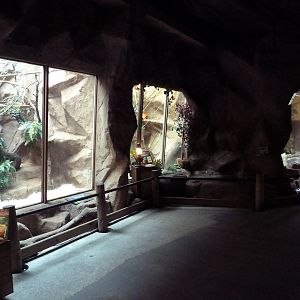 Small Animal Exhibits
