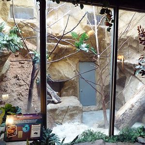 Golden Lion Tamarin Exhibit