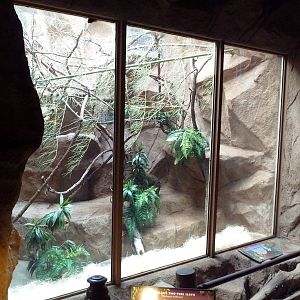 Hoffman's Two-Toed Sloth Exhibit