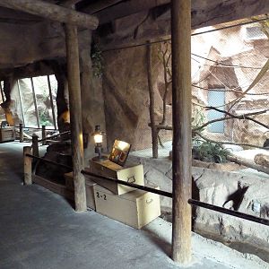 Small Animal Exhibits