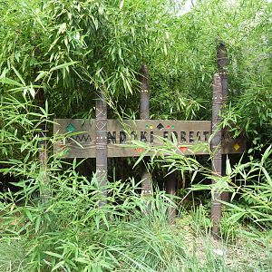 Ndoki Forest - Entrance Sign