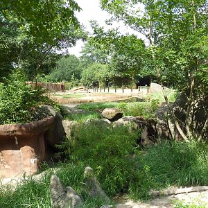 Meerkat + African Elephant Exhibits