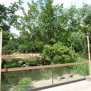 Meerkat + African Elephant Exhibits