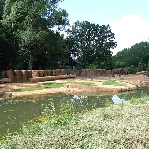 African Elephant Exhibit