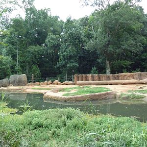 African Elephant Exhibit