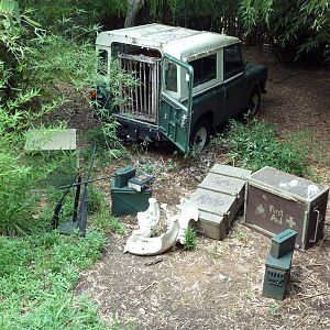 Abyssinian Ground Hornbill/Cinereous Vulture/East African Crowned Crane Exh