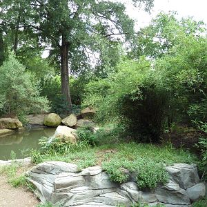Abyssinian Ground Hornbill/Cinereous Vulture/East African Crowned Crane Exh