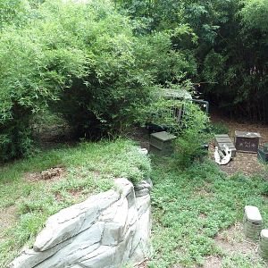 Abyssinian Ground Hornbill/Cinereous Vulture/East African Crowned Crane Exh