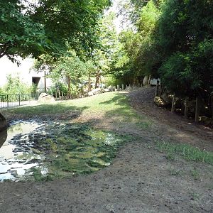 Galapagos Tortoise Exhibit