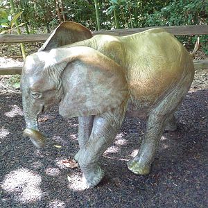 Elephant Statue
