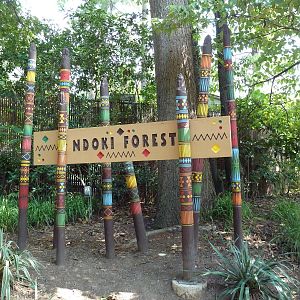 Ndoki Forest Sign