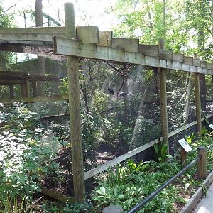 Lady Ross's Turaco/Golden-Breasted Starling/Superb Starling Exhibits