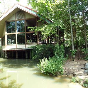 Alligator Exhibit + Cafe