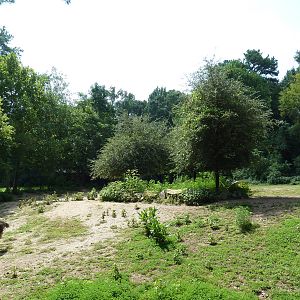 Zebra/Ostrich Exhibit
